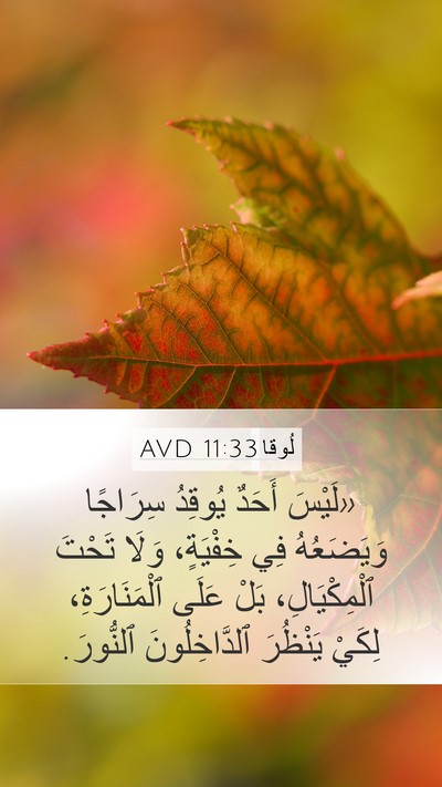 لُوقا 11:33 AVD Bible Verse Image