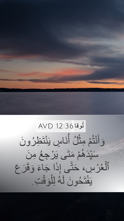 لُوقا 12:36 AVD Bible Verse Image