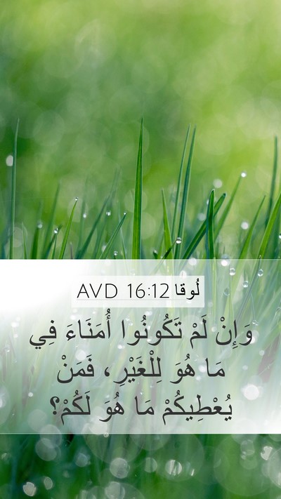 لُوقا 16:12 AVD Bible Verse Image