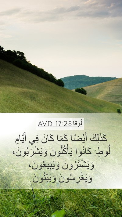 لُوقا 17:28 AVD Bible Verse Image