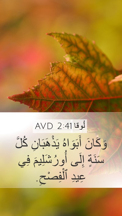 لُوقا 2:41 AVD Bible Verse Image
