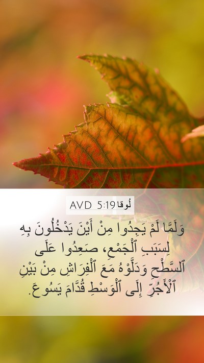 لُوقا 5:19 AVD Bible Verse Image