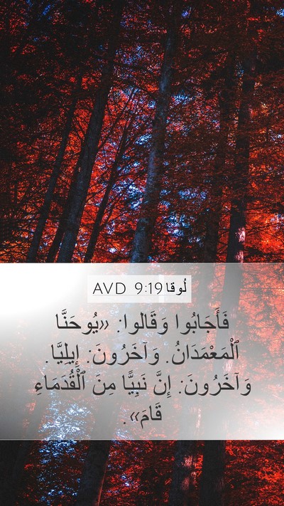 لُوقا 9:19 AVD Bible Verse Image