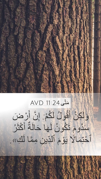 مَتَّى 11:24 AVD Mobile Phone Wallpaper - وَلَكِنْ أَقُولُ لَكُمْ: - Mobile Bible Verse Wallpaper