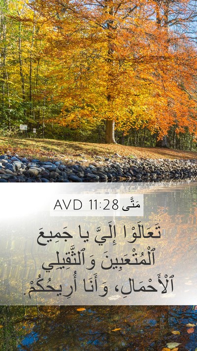 مَتَّى 11:28 AVD Bible Verse Image