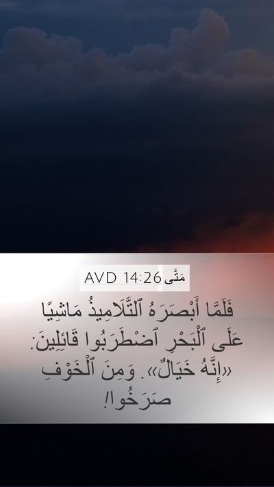 مَتَّى 14:26 AVD Mobile Phone Wallpaper - فَلَمَّا أَبْصَرَهُ - Mobile Bible Verse Wallpaper