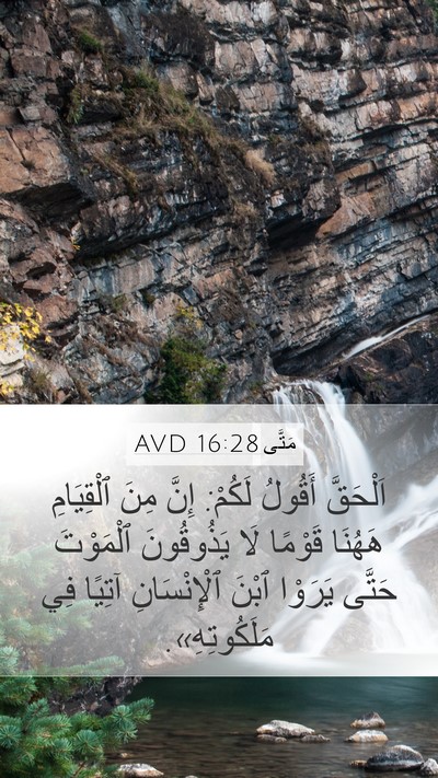 مَتَّى 16:28 AVD Bible Verse Image