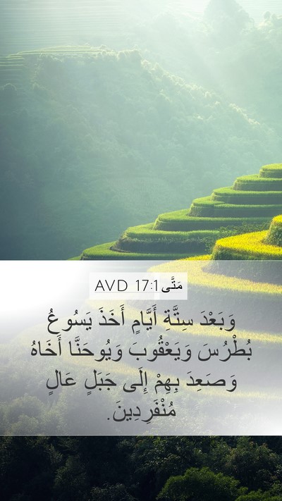 مَتَّى 17:1 AVD Mobile Phone Wallpaper - وَبَعْدَ سِتَّةِ أَيَّامٍ - Mobile Bible Verse Wallpaper