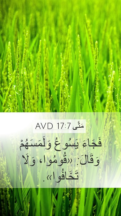 مَتَّى 17:7 AVD Bible Verse Image
