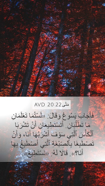 مَتَّى 20:22 AVD Bible Verse Image