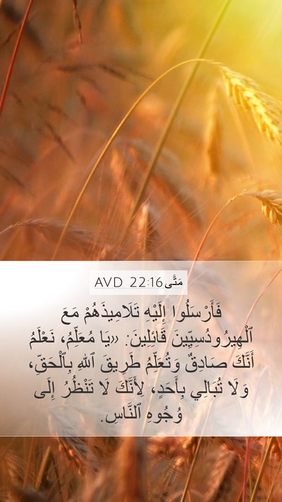 مَتَّى 22:16 AVD Bible Verse Image