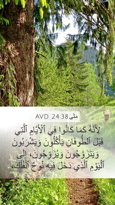 مَتَّى 24:38 AVD Bible Verse Image