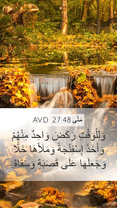 مَتَّى 27:48 AVD Bible Verse Image
