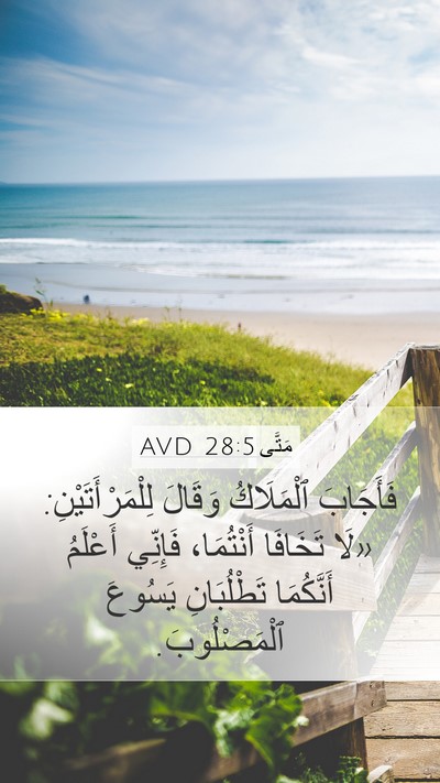 مَتَّى 28:5 AVD Bible Verse Image