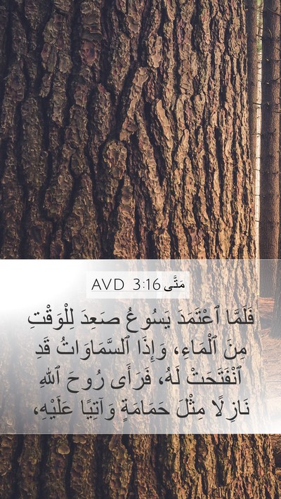 مَتَّى 3:16 AVD Bible Verse Image