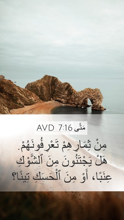 مَتَّى 7:16 AVD Bible Verse Image