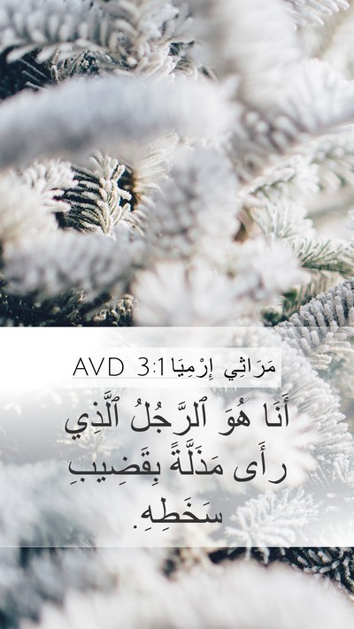 مَرَاثِي إِرْمِيَا 3:1 AVD Bible Verse Image