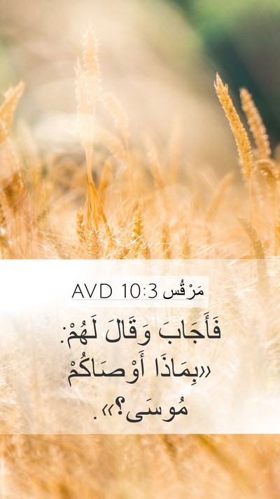مَرْقُس 10:3 AVD Mobile Phone Wallpaper - فَأَجَابَ وَقَالَ لَهُمْ: - Mobile Bible Verse Wallpaper