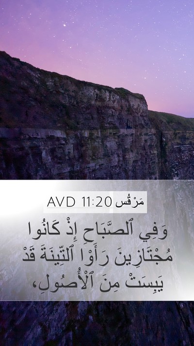 مَرْقُس 11:20 AVD Bible Verse Image