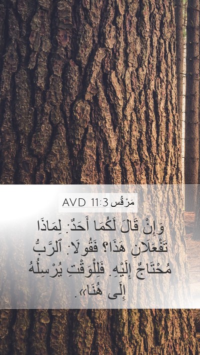 مَرْقُس 11:3 AVD Mobile Phone Wallpaper - وَإِنْ قَالَ لَكُمَا - Mobile Bible Verse Wallpaper