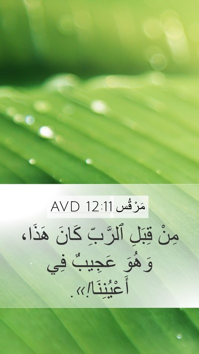مَرْقُس 12:11 AVD Mobile Phone Wallpaper - مِنْ قِبَلِ ٱلرَّبِّ كَانَ - Mobile Bible Verse Wallpaper