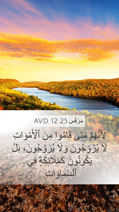 مَرْقُس 12:25 AVD Bible Verse Image