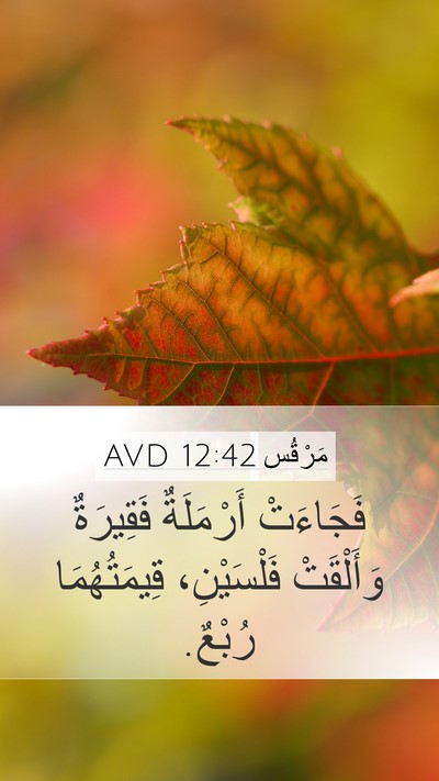 مَرْقُس 12:42 AVD Bible Verse Image