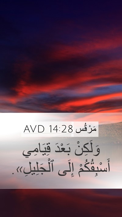 مَرْقُس 14:28 AVD Bible Verse Image