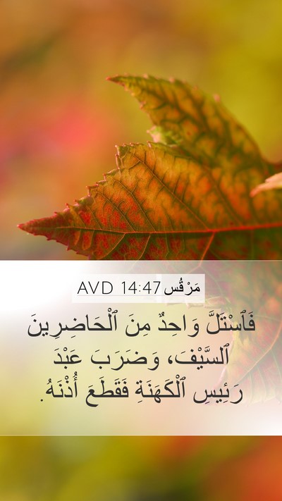 مَرْقُس 14:47 AVD Bible Verse Image