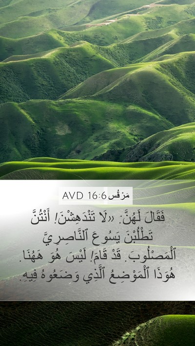 مَرْقُس 16:6 AVD Bible Verse Image