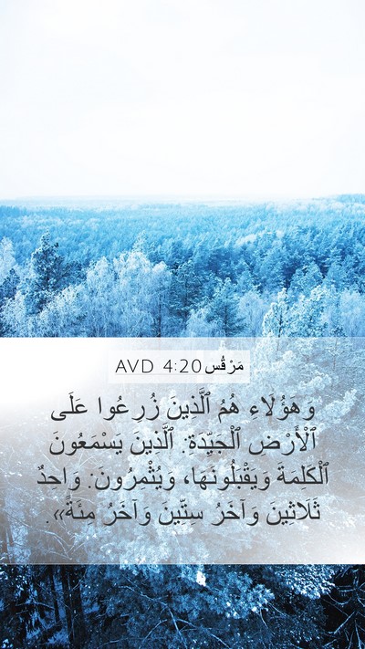 مَرْقُس 4:20 AVD Bible Verse Image