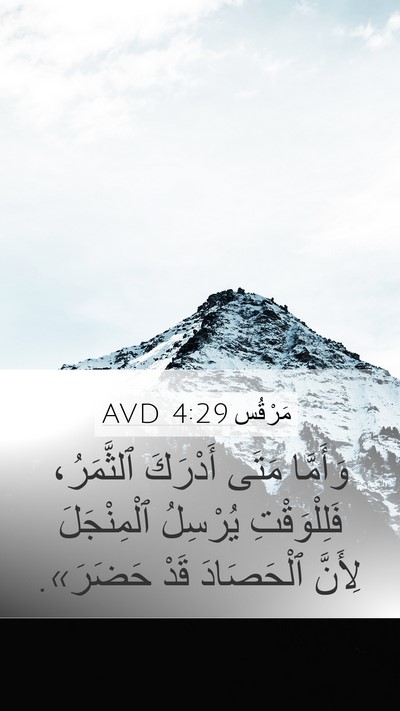 مَرْقُس 4:29 AVD Bible Verse Image