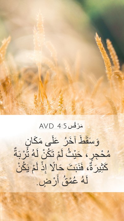 مَرْقُس 4:5 AVD Bible Verse Image