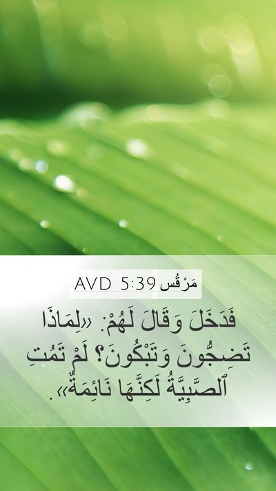 مَرْقُس 5:39 AVD Bible Verse Image