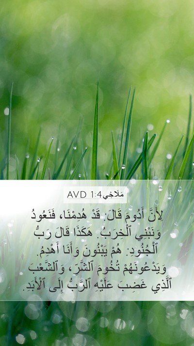 مَلَاخِي 1:4 AVD Bible Verse Image