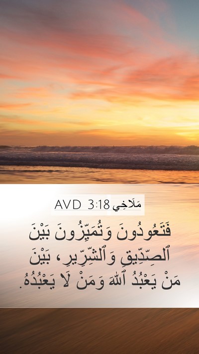 مَلَاخِي 3:18 AVD Bible Verse Image