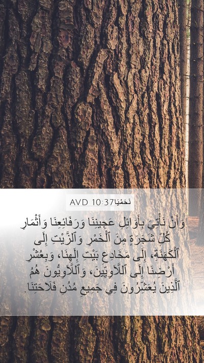 نَحَمْيَا 10:37 AVD Bible Verse Image