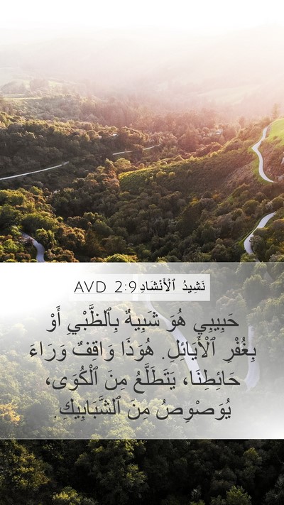 نَشِيدُ ٱلْأَنْشَادِ 2:9 AVD Bible Verse Image