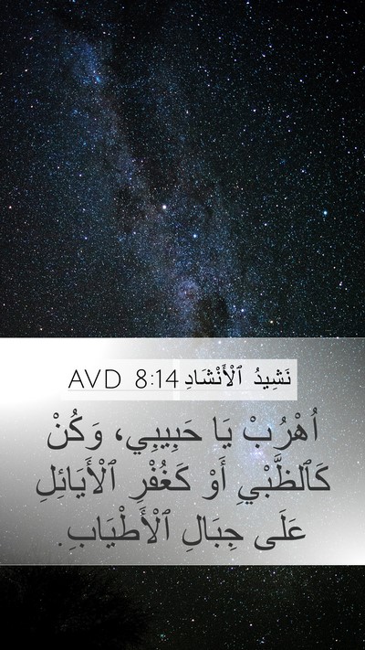 نَشِيدُ ٱلْأَنْشَادِ 8:14 AVD Bible Verse Image