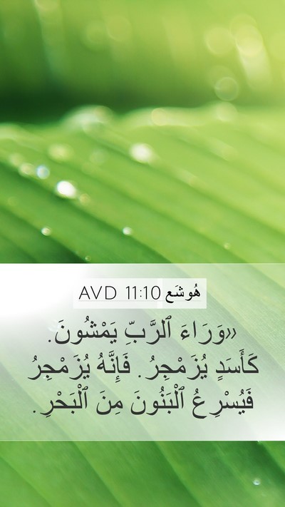 هُوشَع 11:10 AVD Bible Verse Image