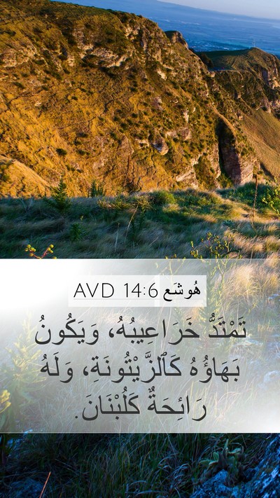 هُوشَع 14:6 AVD Bible Verse Image