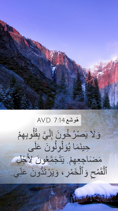 هُوشَع 7:14 AVD Bible Verse Image