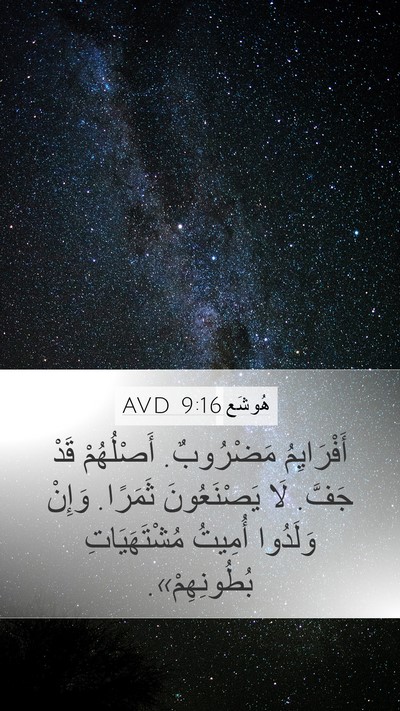 هُوشَع 9:16 AVD Bible Verse Image