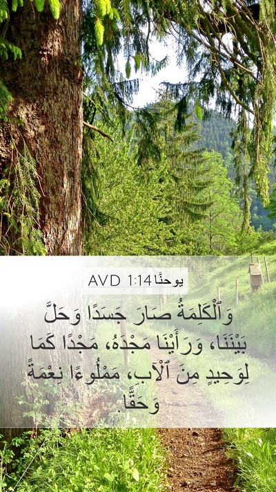 يوحنَّا 1:14 AVD Bible Verse Image