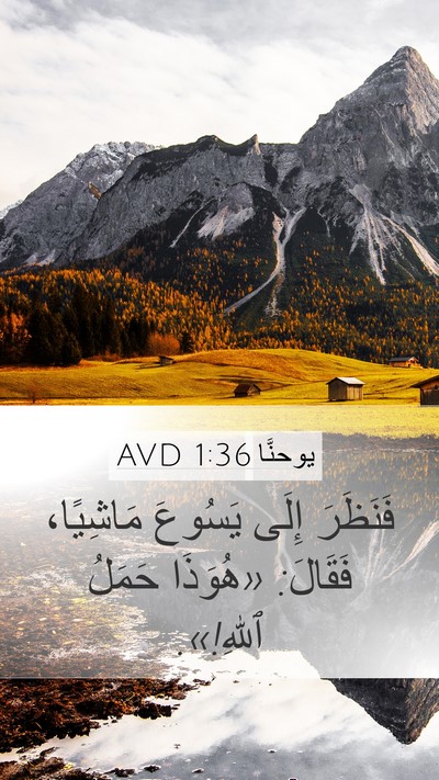 يوحنَّا 1:36 AVD Bible Verse Image