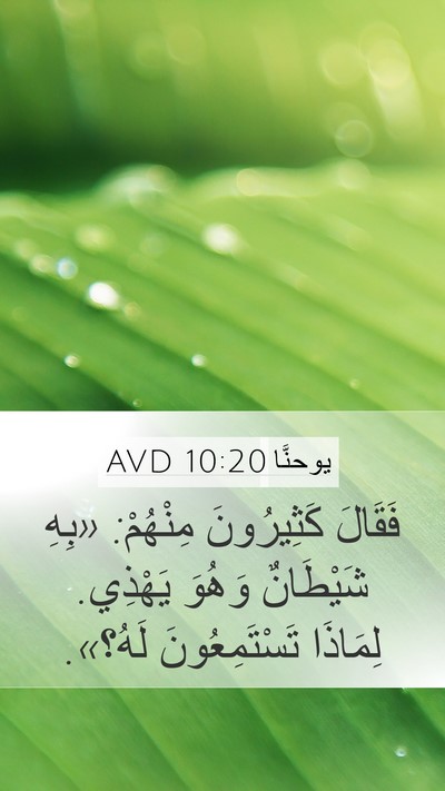 يوحنَّا 10:20 AVD Bible Verse Image