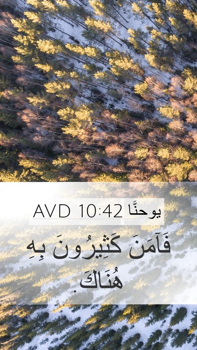 يوحنَّا 10:42 AVD Bible Verse Image