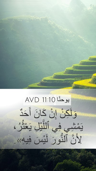 يوحنَّا 11:10 AVD Bible Verse Image