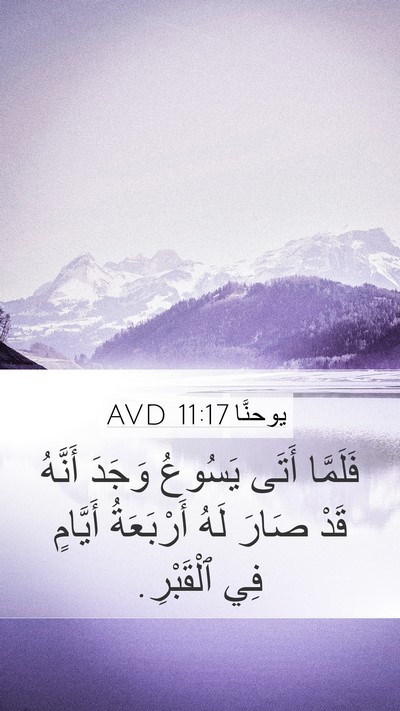 يوحنَّا 11:17 AVD Bible Verse Image