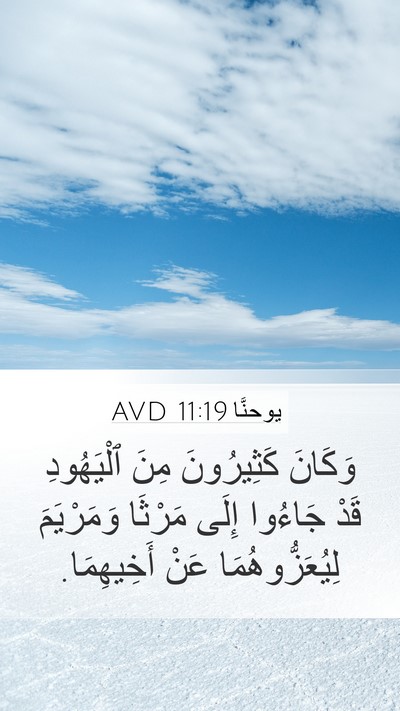 يوحنَّا 11:19 AVD Bible Verse Image